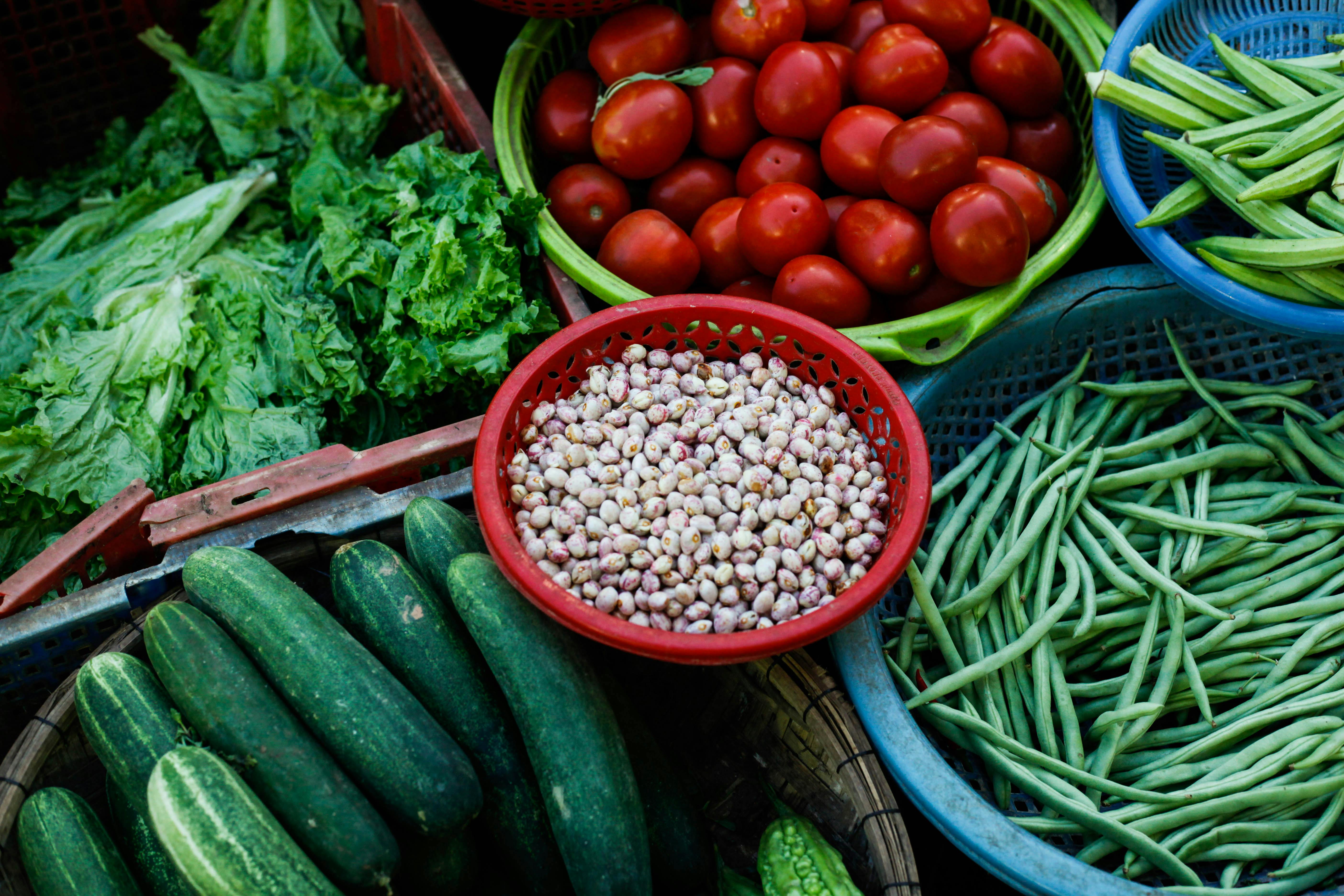 Fresh Organic Vegetables
